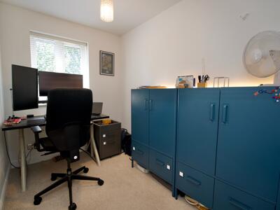Picture 11